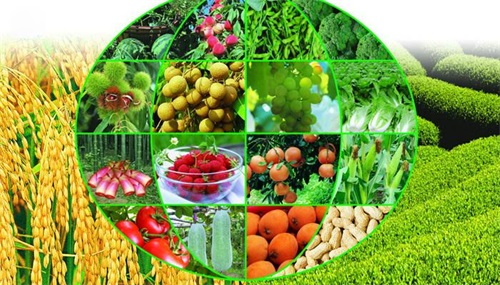 邊緣計(jì)算網(wǎng)關(guān)/物聯(lián)網(wǎng)平臺(tái)/網(wǎng)關(guān)模塊/縱橫智控