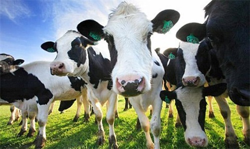 邊緣計(jì)算網(wǎng)關(guān)/物聯(lián)網(wǎng)平臺(tái)/網(wǎng)關(guān)模塊/縱橫智控