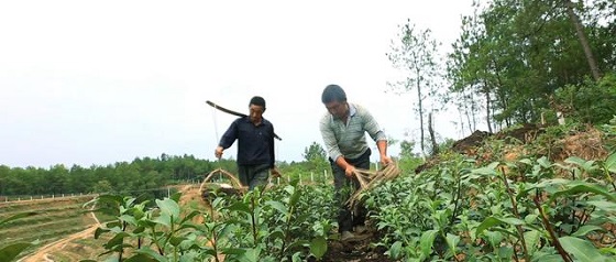 邊緣計算網(wǎng)關(guān)/物聯(lián)網(wǎng)平臺/網(wǎng)關(guān)模塊/縱橫智控