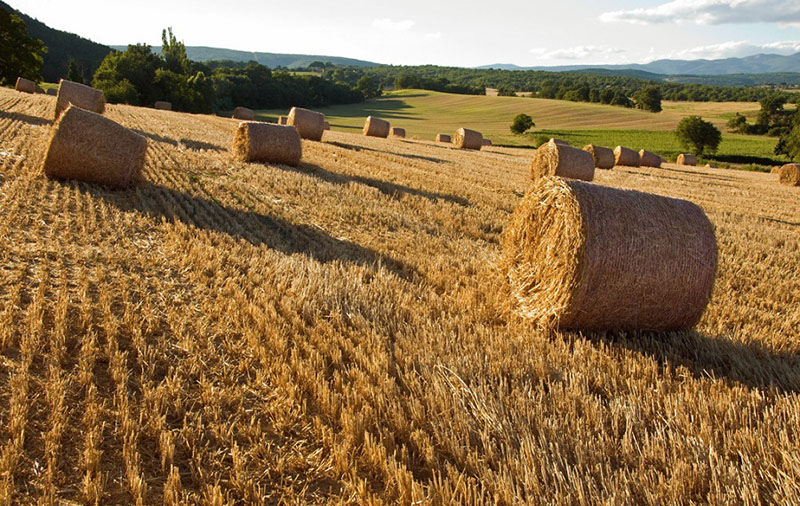 邊緣計算網關/物聯(lián)網平臺/網關模塊/縱橫智控