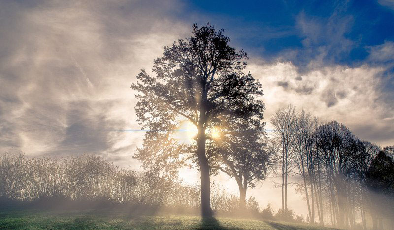 邊緣計算網(wǎng)關(guān)/物聯(lián)網(wǎng)平臺/網(wǎng)關(guān)模塊/縱橫智控