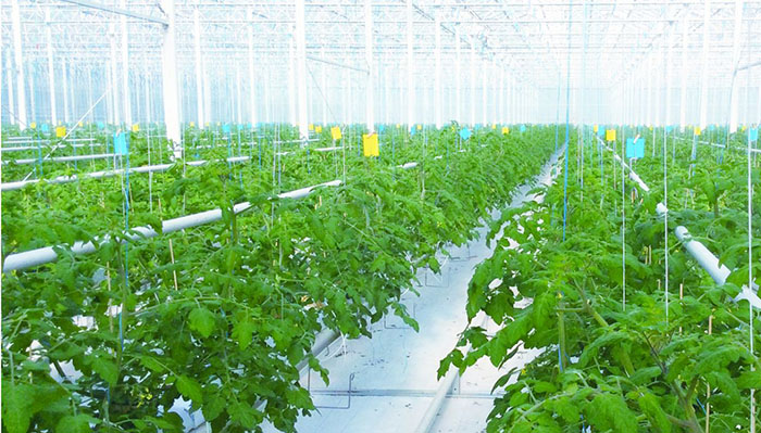 邊緣計算網(wǎng)關(guān)/物聯(lián)網(wǎng)平臺/網(wǎng)關(guān)模塊/縱橫智控