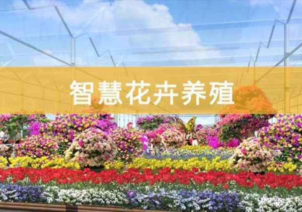 邊緣計算網(wǎng)關(guān)/物聯(lián)網(wǎng)平臺/網(wǎng)關(guān)模塊/縱橫智控