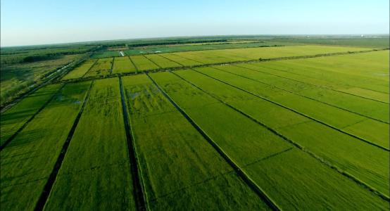 物聯(lián)網(wǎng)智慧農(nóng)業(yè)科普