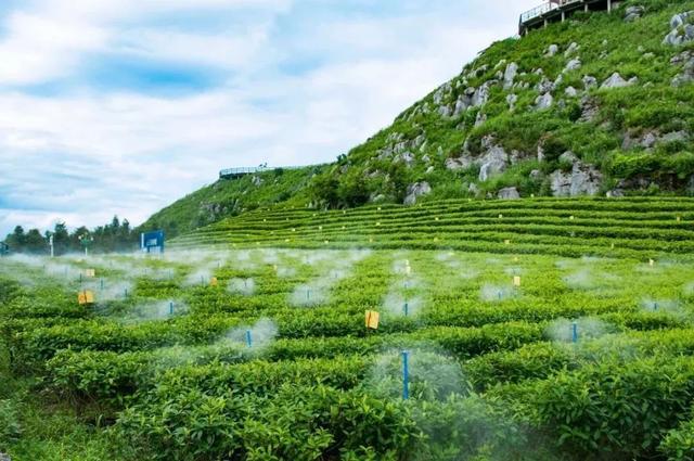 邊緣計(jì)算網(wǎng)關(guān)/物聯(lián)網(wǎng)平臺(tái)/網(wǎng)關(guān)模塊/縱橫智控