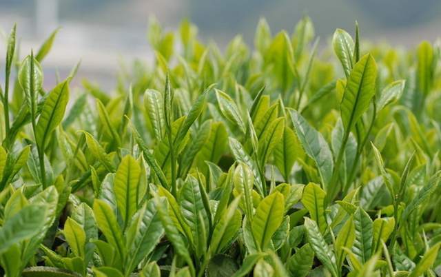 邊緣計(jì)算網(wǎng)關(guān)/物聯(lián)網(wǎng)平臺(tái)/網(wǎng)關(guān)模塊/縱橫智控