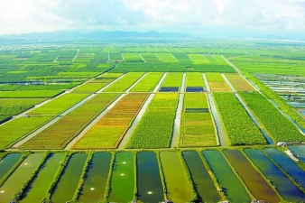 物聯(lián)網(wǎng)技術(shù)助力農(nóng)業(yè)生產(chǎn)：收入更多，成本更少