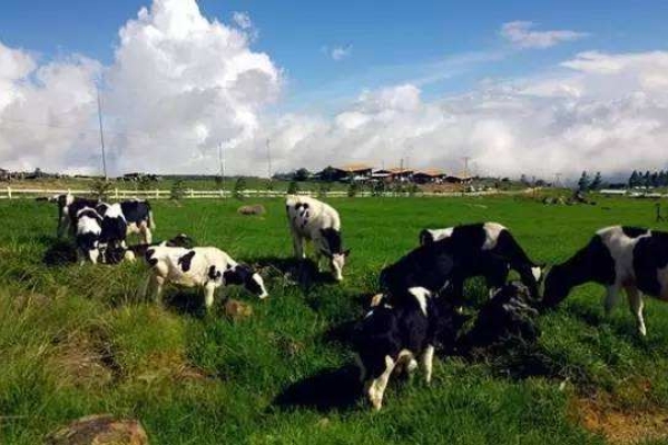 RTU-ZHC492C在泰國智慧農(nóng)場監(jiān)管中的應(yīng)用