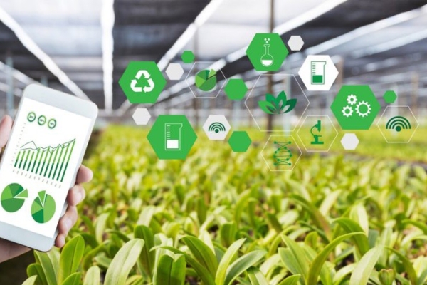 智慧農(nóng)業(yè)物聯(lián)網(wǎng)解決方案